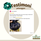 Set Pemanas Tungku Burner Bayi dan Ibu Tanah Liat [Free Candles]